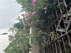 -山东师范大学(千佛山校区)