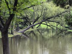 -上海共青森林公园