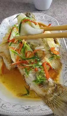 -大班家政月嫂育儿嫂(深圳NO.1店)