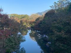 -田野绿世界