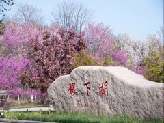 -山东理工大学
