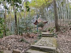 -杭州黄龙洞