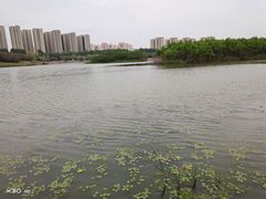 -丁香湖公园