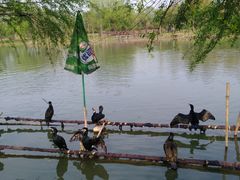 -长兴太湖图影湿地文化园
