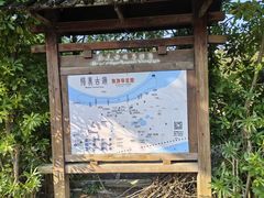 -扬美古镇景区