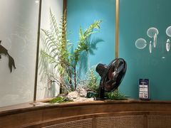 -鲜潭蒸汽石锅鱼(五道口购物中心店)