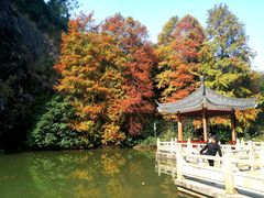 -水濂山森林公园