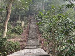 -岳麓山风景名胜区