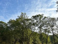 -南京珍珠泉风景区