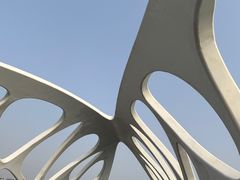 -星光岛