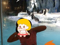 -广东省拱北口岸中国旅行社(华宾营业部)