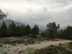 -白水寺森林公园