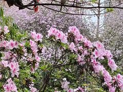 -晓港公园