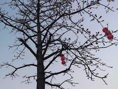 -映月湖公园