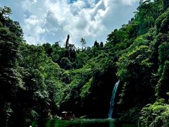 -龙苍沟森林公园