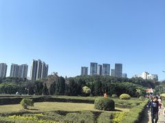 -南沙蒲洲花园
