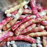 素烧黄金勾