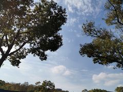 -上海吴淞炮台湾国家湿地公园