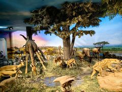 -国家自然博物馆