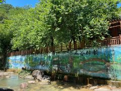 -广州白江湖森林公园