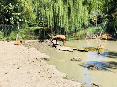 -溱湖国家湿地公园