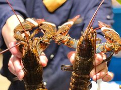 -亚马逊蒸汽活海鲜自助(LCM置汇旭辉广场店)