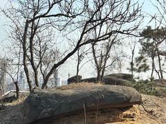 -白水寺森林公园