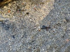 -白水寺森林公园