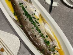 鸡汁香蒸翘白鱼-大秦小宴•新派西北(万象前海店)