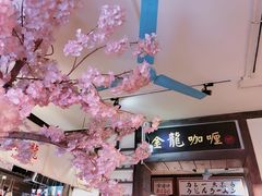 -金龙咖喱
