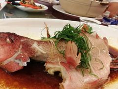 清蒸珍珠龙趸-山泉公馆酒家(珠江新城店)