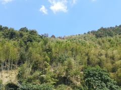 -敬亭山风景名胜区