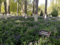 -西宁市人民公园(城西区)