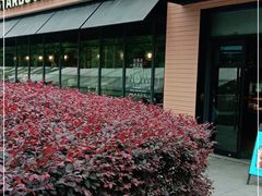 -星巴克(西藏路店)