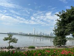 -深圳湾公园(南山区)