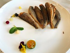 -子霖南山鲜虾面(南山总店)