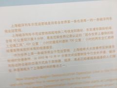 -龙阳路磁悬浮列车总站-停车场