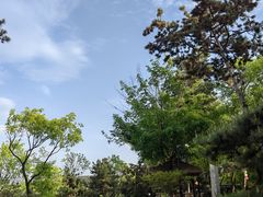-熙古里艺术村