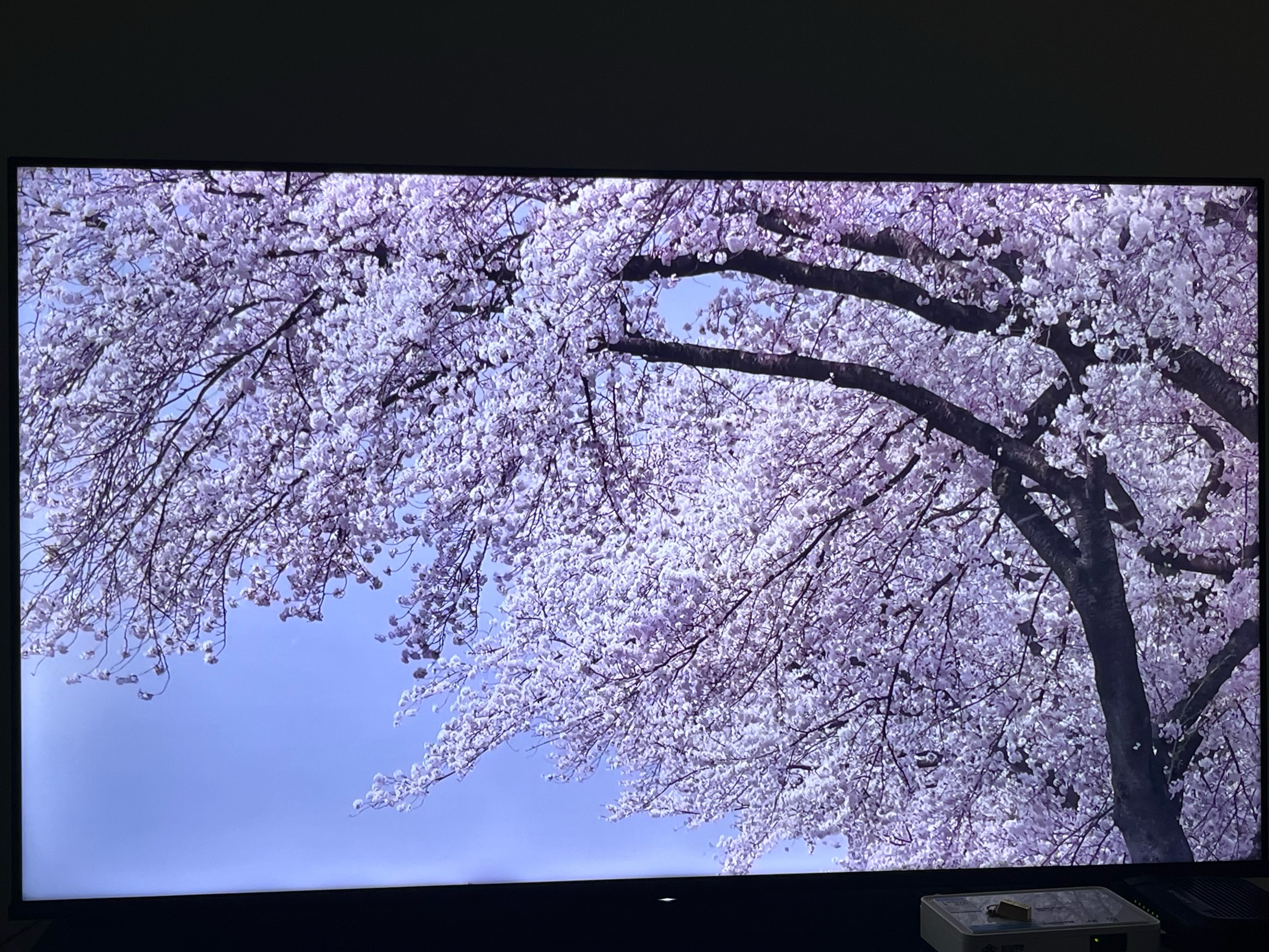 春夏秋冬篇日本电影图片