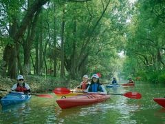 -上海长兴岛郊野公园