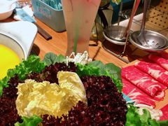 -青瓷火锅料理(西单大悦城店)