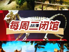 -国家自然博物馆