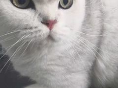 -嘉馨宠物医院·CT影像转诊·心脏科·犬猫全科诊疗中心(下沙大学城院区)
