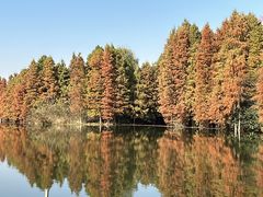-尚湖风景区