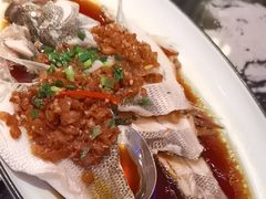 -新白鹿餐厅(百联中环店)