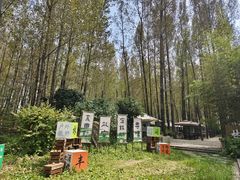 -林间山庄