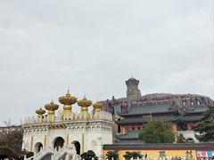 -上海东林寺(金山区)