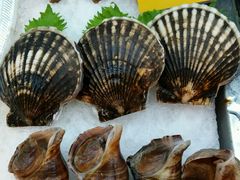-万宝海鲜舫(劳动公园店)