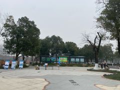 -合肥滨湖国家森林公园