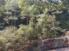 -梁野山景区
